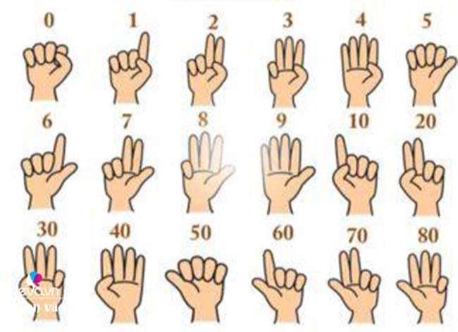 Quy ước các số trong Finger Math