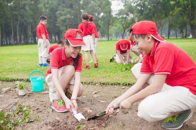 Học sinh tham gia hoạt động trồng cây sau giờ học