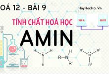 Amin tính chất hoá học, công thức cấu tạo của Amin và bài tập - hoá 12 bài 9