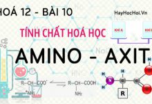 Amino Axit tính chất hoá học, công thức cấu tạo và bài tập về Amino Axit - hoá 12 bài 10