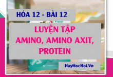 Bài tập luyện tập Amin, Amino axit và Protein có đáp lời giải - Hóa 12 bài 12