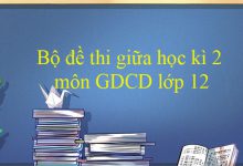 Bộ đề thi giữa học kì 2 môn GDCD lớp 12 năm 2020 - 2021