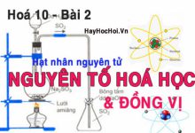 Điện tích hạt nhân, số khối, nguyên tử khối trung bình của nguyên tố hoá học - hoá 10 bài 2