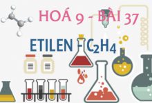 Etilen C2H4 cấu tạo phân tử tính chất hoá học của etilen và bài tập - hoá 9 bài 37