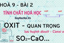 Một số Oxit quan trọng, Canxi oxit CaO, Lưu huỳnh dioxit SO2 và bài tập - hoá 9 bài 2