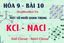 Một số muối quan trọng, tính chất hóa học của Natri Clorua NaCl, Kali Nitrat KNO3 - hóa 9 bài 10