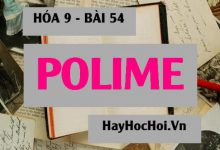 Polime là gì? Ứng dụng của Polime (chất dẻo, tơ và cao su) - Hóa 9 bài 54