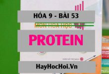 Protein tính chất hóa học, trạng thái tự nhiên, thành phần cấu tạo và ứng dụng của Protein - Hóa 9 bài 53