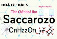 Tính chất hoá học, công thức cấu tạo của Saccarozo, Tinh bột và Xenlulozo - hoá 12 bài 6