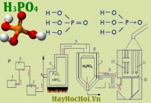 Tính chất hoá học của Axit Photphoric H3PO4, ví dụ và bài tập - hoá lớp 11