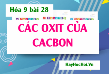Tính chất hóa học của Cacbon Oxit (CO) Cacbon Đioxit (CO2) Ứng dụng và Bài tập - Hóa 9 bài 28