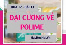 Tính chất hóa học của Polime, Cách điều chế và Ứng dụng của Polime - Hóa 12 bài 13