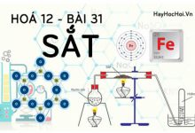 Tính chất hoá học của Sắt Fe, bài tập về Sắt - hoá 12 bài 31