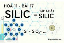 Tính chất hoá học của Silic dioxit, axit Silixic, muối Silicat và bài tập về Silic - hoá 11 bài 17