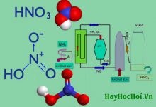 Tính chất hoá học của axit Nitric HNO3, ví dụ và bài tập - hoá lớp 11