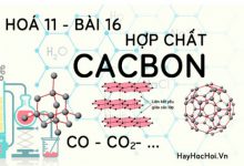 Tính chất hoá học của cacbon oxit (CO), cacbon dioxit (CO2) muối cabonnat và bài tập - hoá 11 bài 16