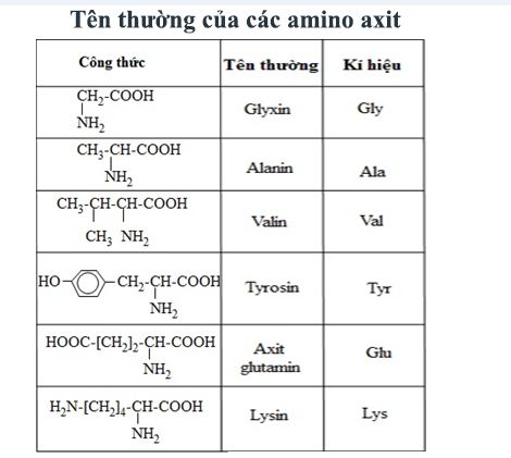 danh pháp amino axit