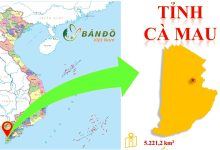 Thông tin cơ bản về tỉnh Cà Mau 
