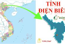 Bản đồ Hành chính tỉnh Điện Biên mới nhất