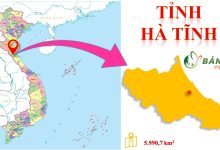 Bản đồ Hành chính tỉnh Hà Tĩnh mới nhất