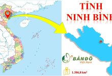 Thông tin cơ bản về tỉnh Ninh Bình 