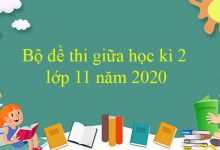 Bộ đề thi giữa học kì 2 lớp 11 năm 2021 - 2022    5.000+