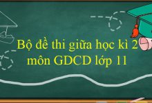 Bộ đề thi giữa học kì 2 môn GDCD lớp 11 năm 2021 - 2022