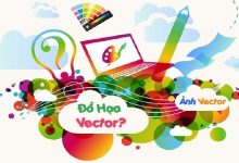 Đồ hoạ Vector là gì? Ảnh Vector là gì? Những đặc trưng cơ bản?