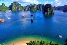 Việt nam có bao nhiêu đảo?