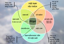 Các yếu tố tạo ra Ikigai
