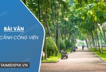 ta canh cong vien