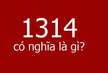 1314 là gì?