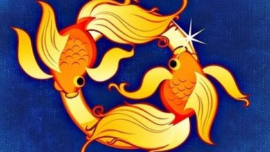 Giải Mã Cung Song Ngư – Pisces – 20/2 – 20/3 MỚI NHẤT - Xemboituvi.vn