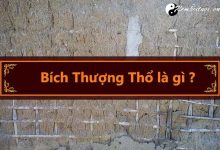 menh-bich-thuong-tho-nghia-la-gi