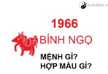 nam-1966-la-nam-con-gi-sinh-nam-1966-la-menh-gi-tuoi-gi