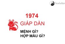 nam-1974-la-nam-con-gi-sinh-nam-1974-la-menh-gi-tuoi-gi