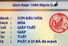 nam-1994-la-nam-con-gi-sinh-nam-1994-la-menh-gi-tuoi-gi