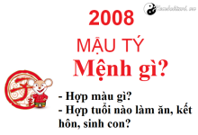nam-2008-la-nam-con-gi-sinh-nam-2008-la-menh-gi-tuoi-gi