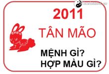 nam-2011-la-nam-con-gi-sinh-nam-2011-la-menh-gi-tuoi-gi