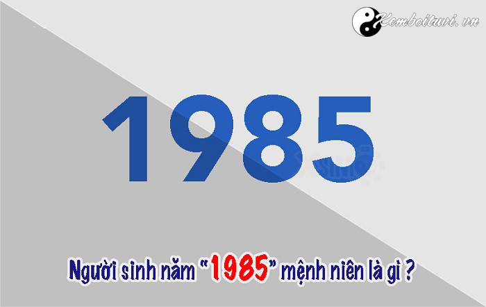 nam-1985-la-nam-con-gi-sinh-nam-1985-la-menh-gi-tuoi-gi