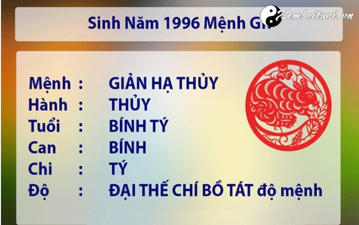 nam-1996-la-nam-con-gi-sinh-nam-1996-la-menh-gi-tuoi-gi