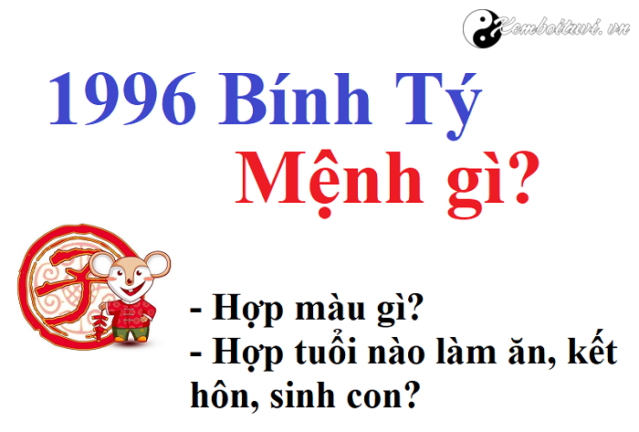 nam-1996-la-nam-con-gi-sinh-nam-1996-la-menh-gi-tuoi-gi