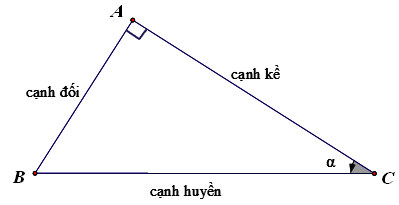 Tỉ số lượng giác của góc nhọn (trong tam giác vuông) Toán lớp 9
