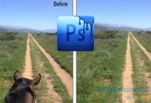 Cách xóa đối tượng thừa bằng Photoshop CS2