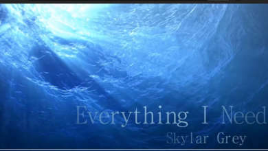 [Lyrics} | Lời bài hát Everything I Need – Skylar Grey/ OLP Tiếng Anh