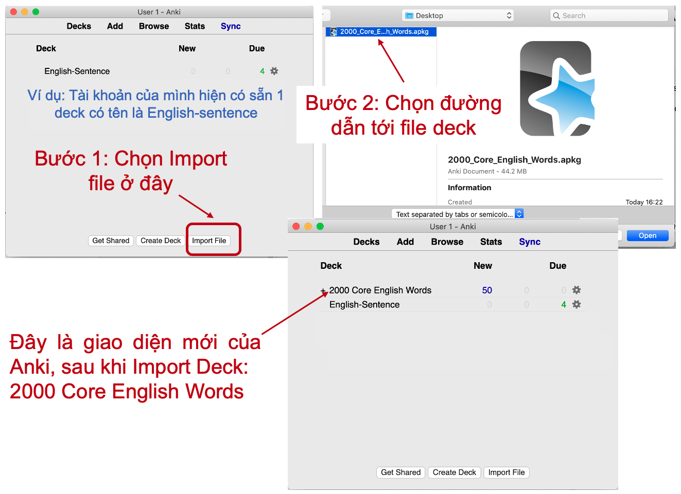Hình ảnh hướng dẫn cách Import một file deck có sẵn.,phần mềm học từ vựng tiếng Anh Anki