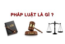 HAVIP】Bản chất của pháp luật là gì? | Luật Havip