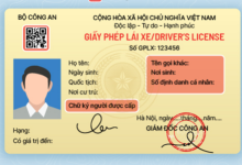 12 hạng giấy phép lái xe mới theo dự thảo của Bộ Công an