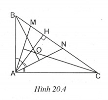Tính chất ba đường trung trực, ba đường cao của tam giác (ảnh 5)