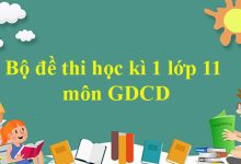 Bộ đề thi học kì 1 môn GDCD lớp 11 năm 2021 - 2022